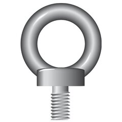 Stainless Steel Eyebolt