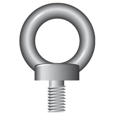 Stainless Steel Eyebolt