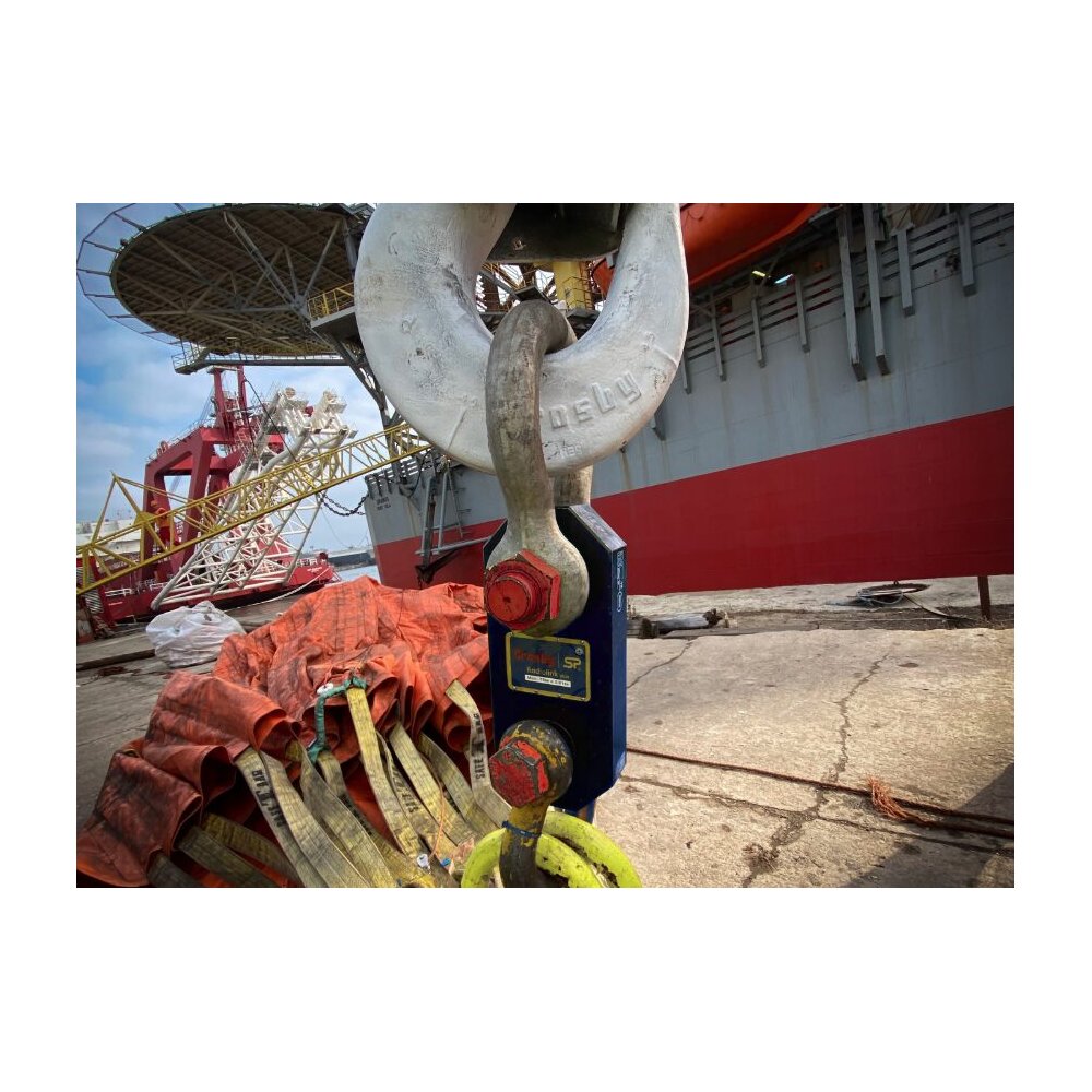 Crane Scale Radiolink Plus