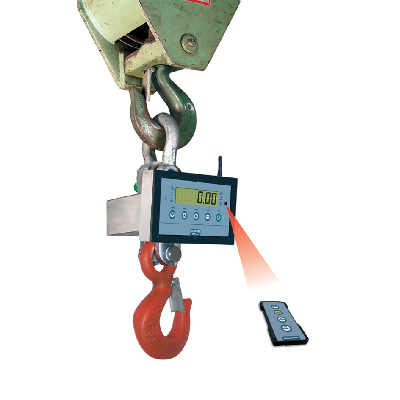 Crane Scale MCW Professional