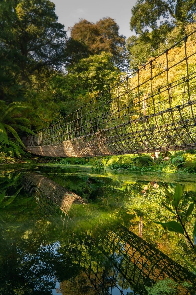 Examples of completed playground rope and net installations by Certex