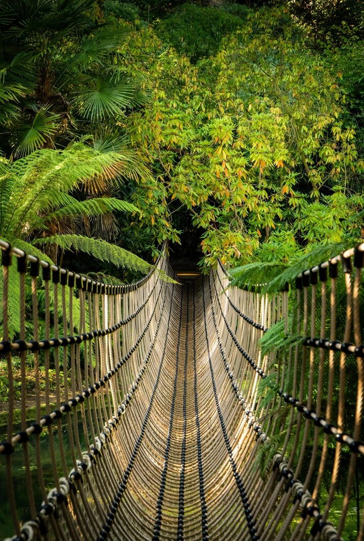 Examples of completed playground rope and net installations by Certex