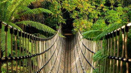 Examples of completed playground rope and net installations by Certex